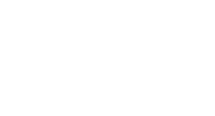 Finamigo